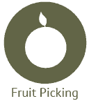 Seasonal Fruit Picking